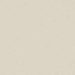 линолеум TARKETT ACCZENT PRO Aspect 4 pol-samara.ru