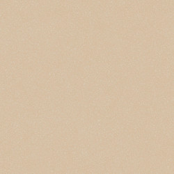 гетерогенный линолеум TARKETT ACCZENT PRO Aspect 5 pol-samara.ru