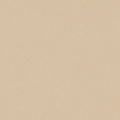 гетерогенный линолеум TARKETT ACCZENT PRO Aspect 5 pol-samara.ru