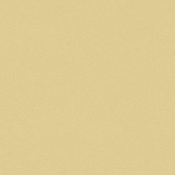 линолеум TARKETT ACCZENT PRO Aspect 6 pol-samara.ru