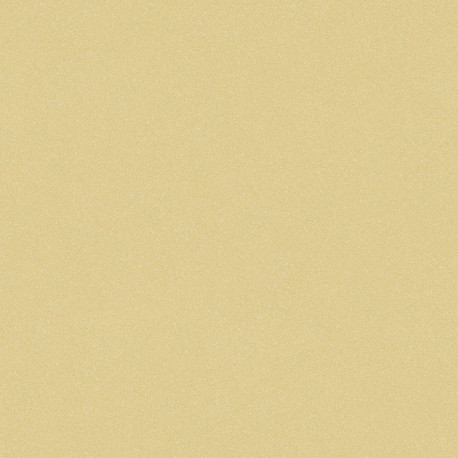 линолеум TARKETT ACCZENT PRO Aspect 6 pol-samara.ru