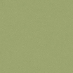 линолеум коммерческий TARKETT ACCZENT PRO Aspect 9 pol-samara.ru