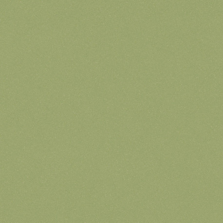 линолеум коммерческий TARKETT ACCZENT PRO Aspect 9 pol-samara.ru