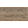 Ламинат Kastamonu SUNFLOOR 8/32 Дуб Античный SF05